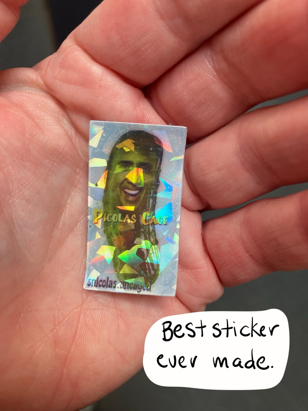 artsy fartsy 💨 a photo&nbsp;dump