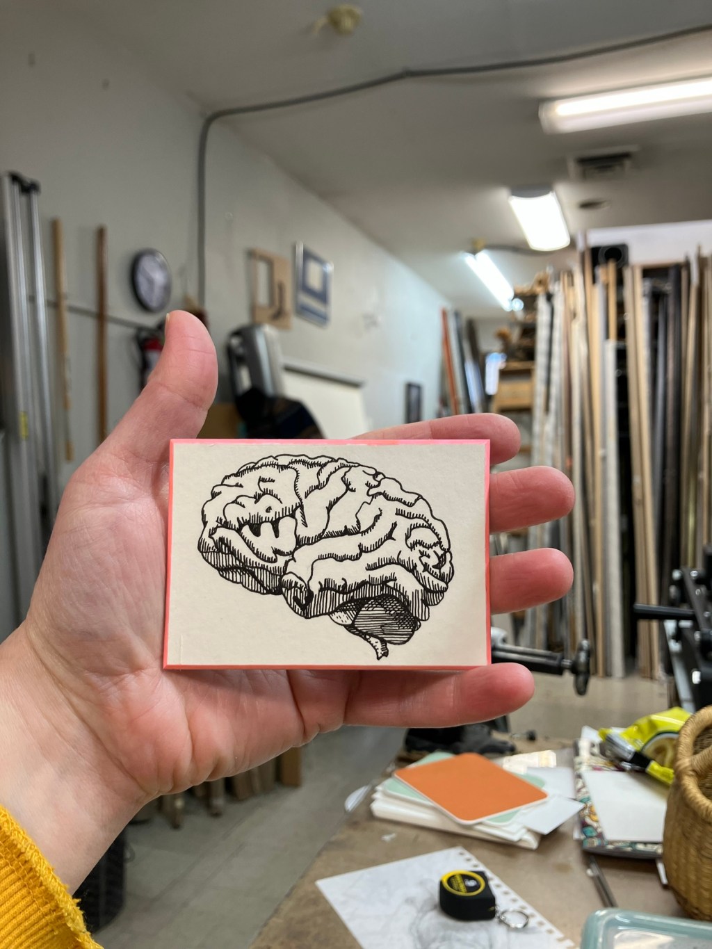 my first human&nbsp;brain